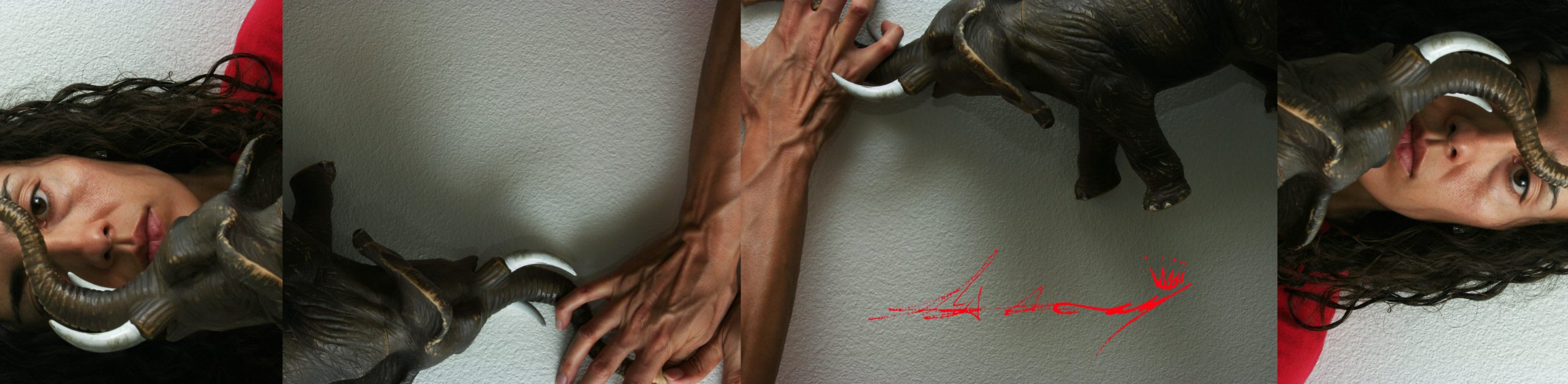 Fine art photography