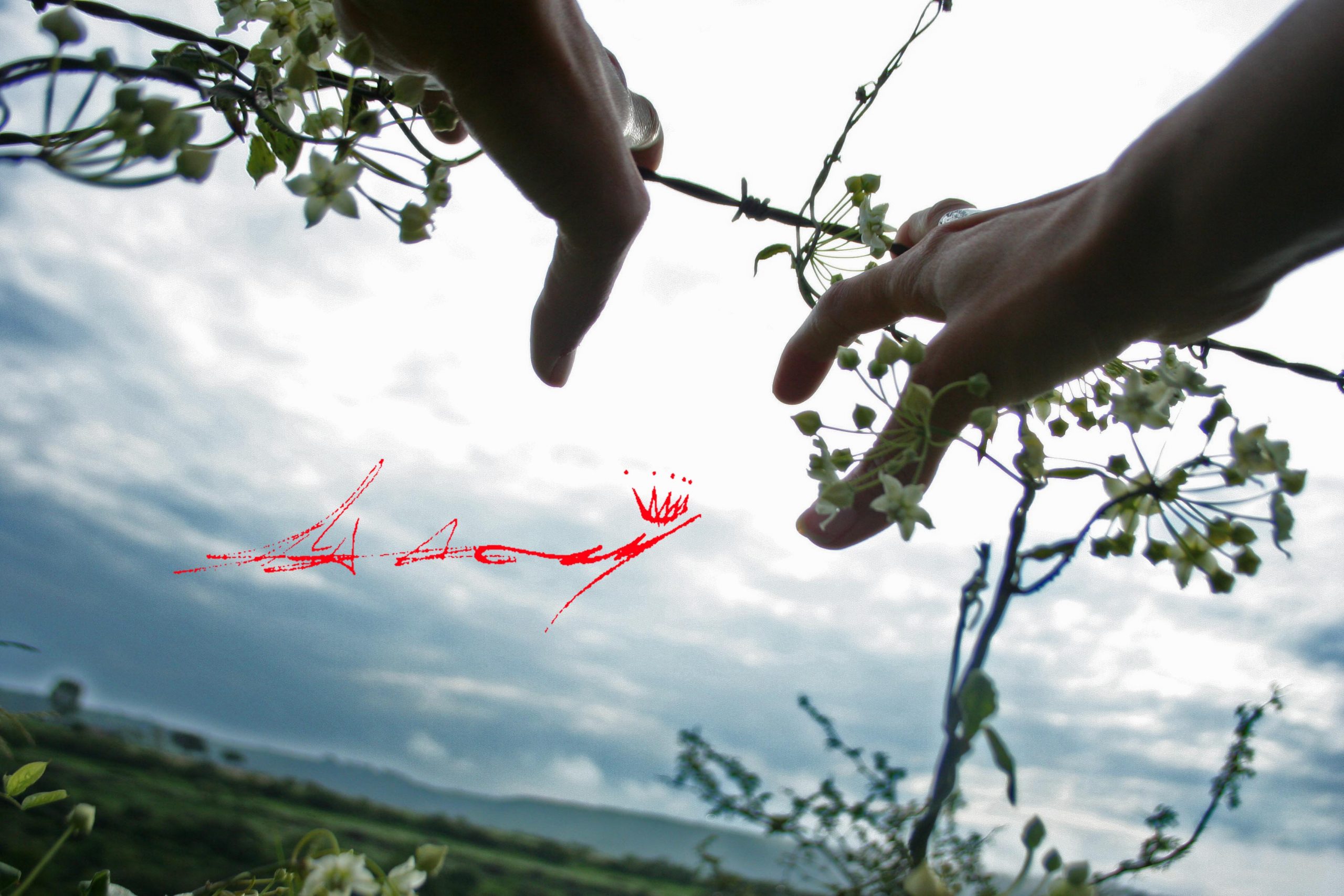Fine art photography
