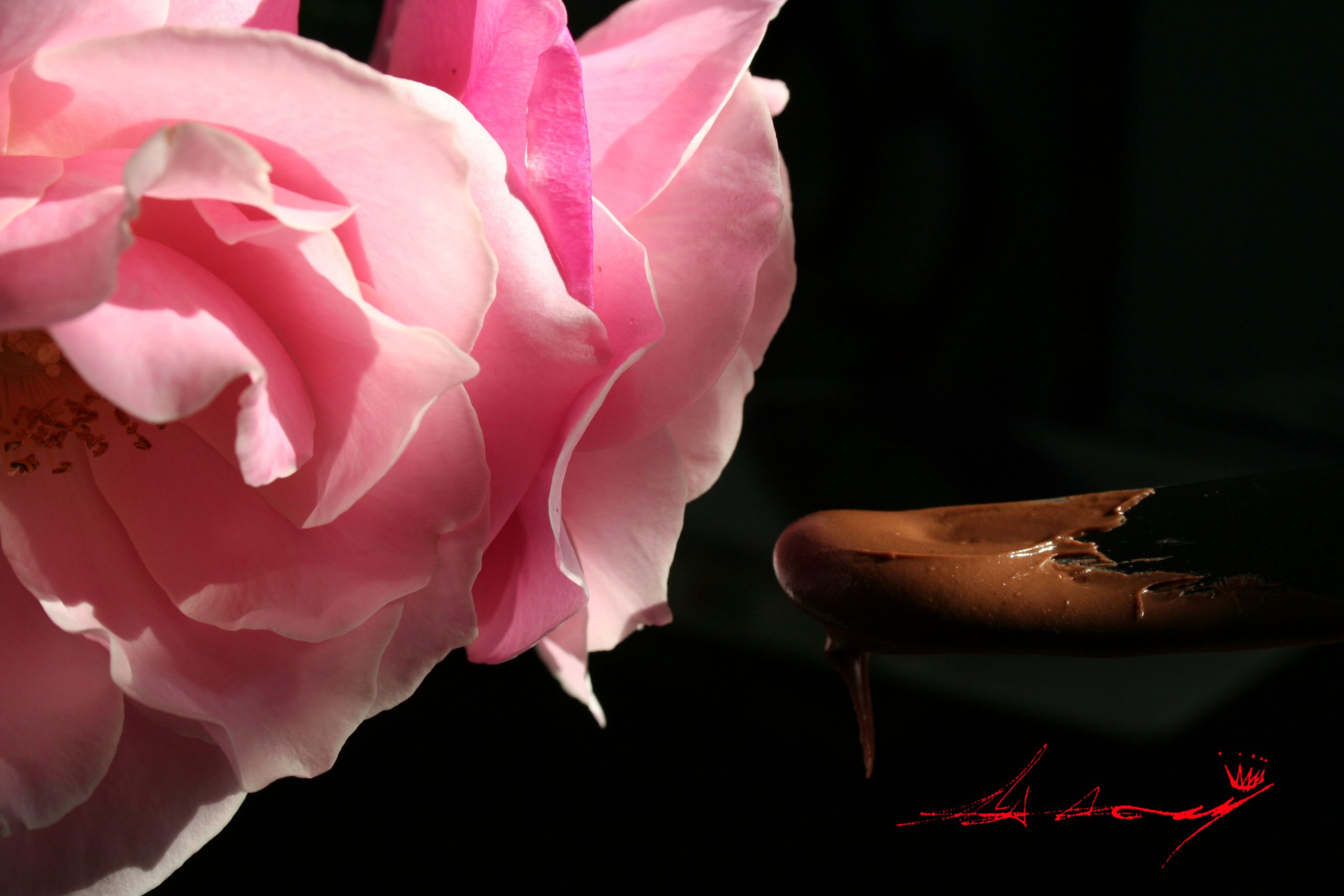 Fine art photography