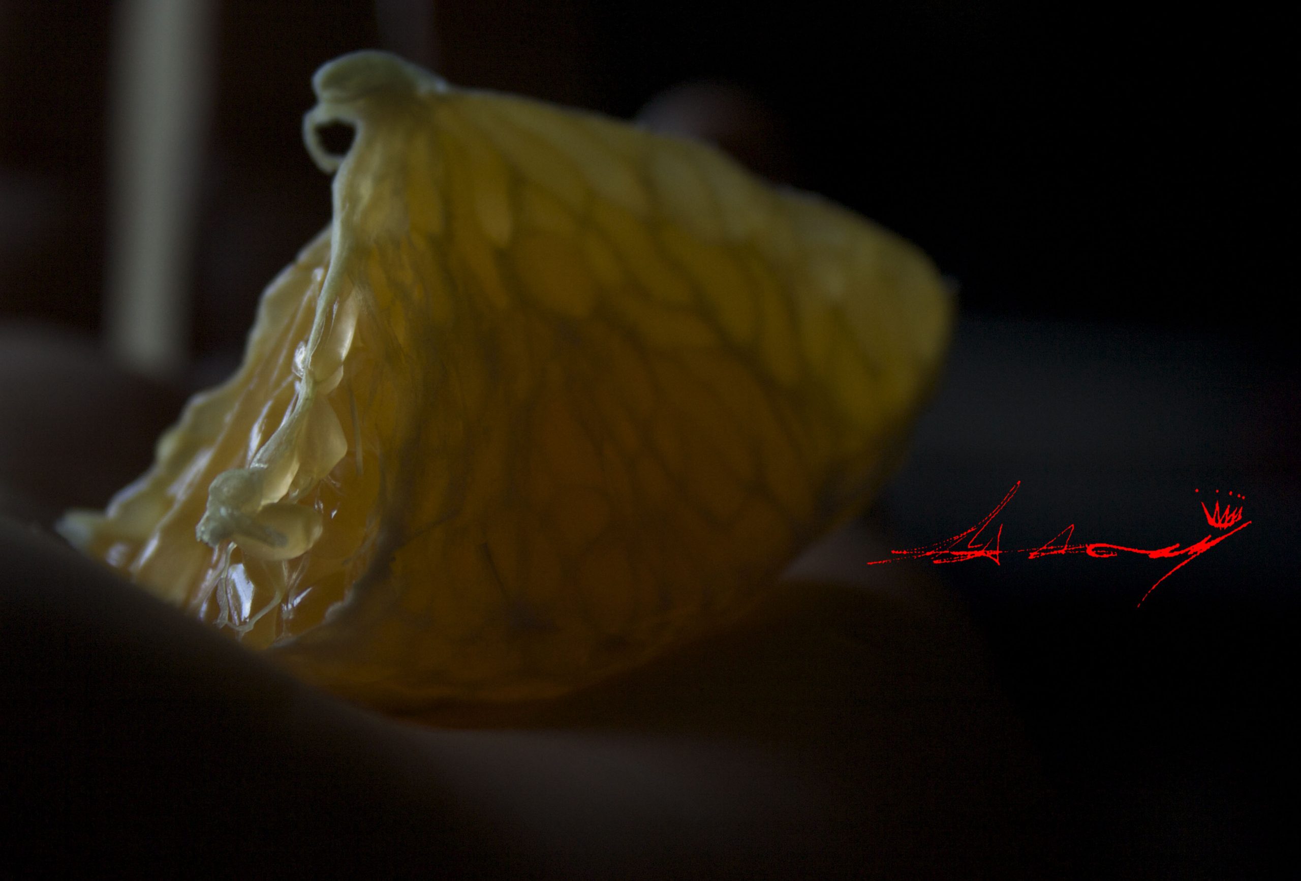 Fine art photography
